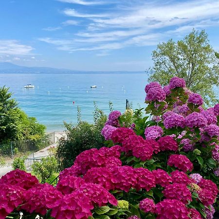 Front Lake Amazing View Manerba del Garda Eksteriør billede