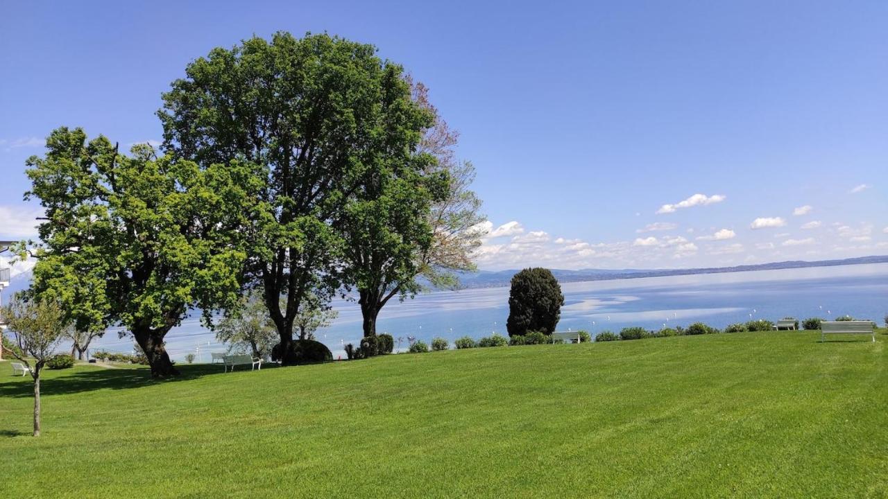 Front Lake Amazing View Manerba del Garda Eksteriør billede