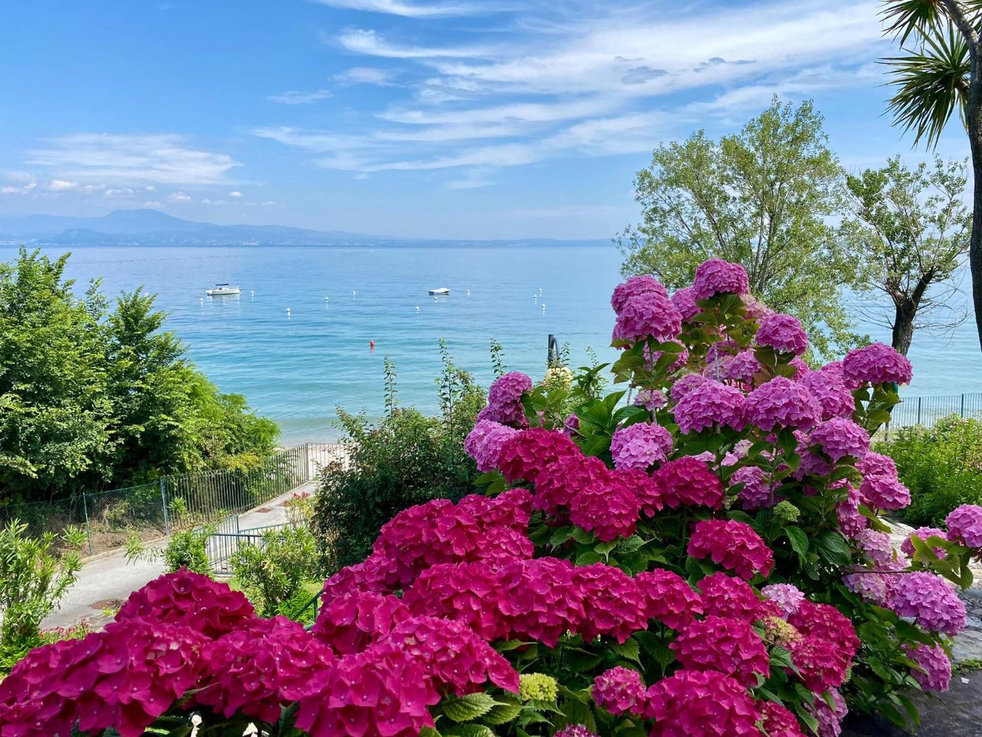 Front Lake Amazing View Manerba del Garda Eksteriør billede